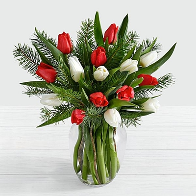 15 Stem Red & White Tulips
