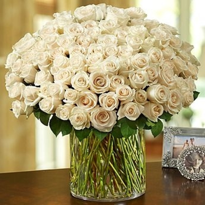 100 Premium Long Stem White Roses